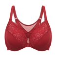 thumbnail image 1 of Sostén DELMIRA con Cierre Frontal, Encaje, Sin Relleno, Talla Grande 34C, 1 of 5