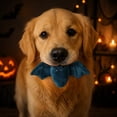 thumbnail image 6 of Halloween Pumpkin Squeaky Plush Dog Chew Toy, Soft Stuffed Teething Plaything, Lightweight Interactive Fetch Toy for Small Medium Large Puppies Cats Boredom Relief Halloween Party Supplies, 6 of 6