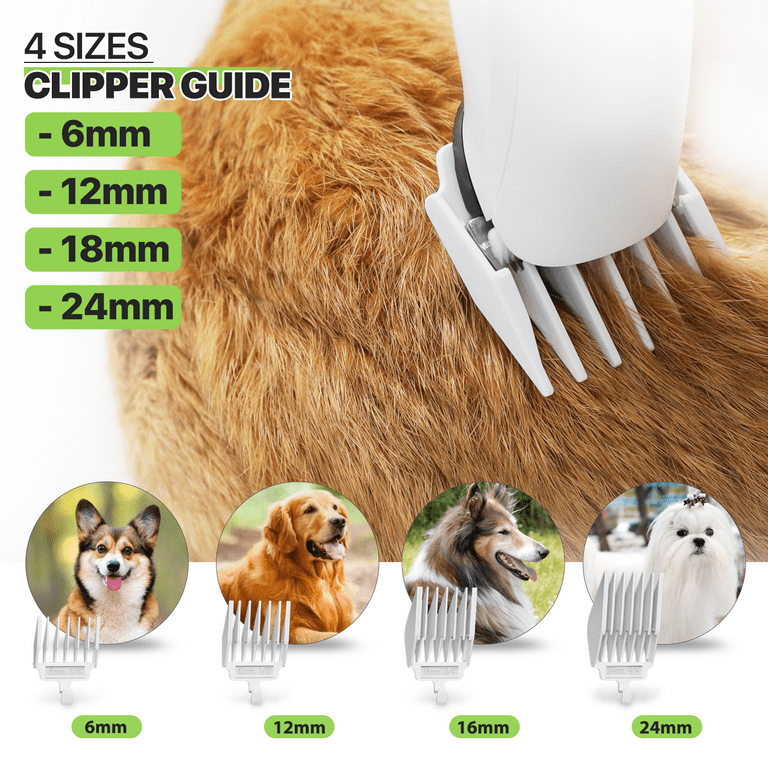 Professional grooming clearance kit for dogs