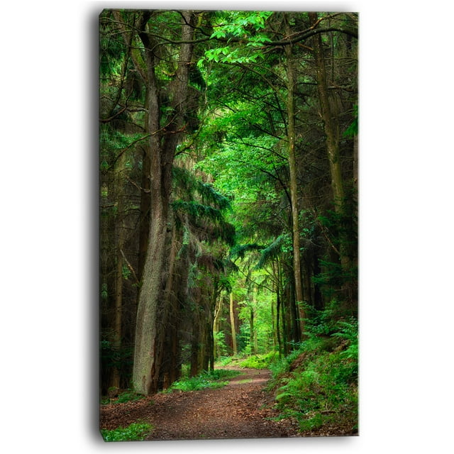 Designart - Dreamy Greenery in Dense Forest - Forest Canvas Art Print