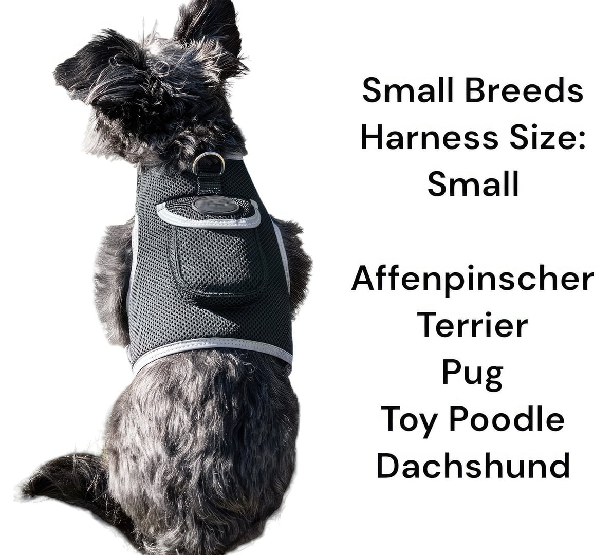 Collar Portable GPS Tracking Device for Pets w/ Perimeter Fence System Size:XS