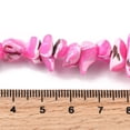 thumbnail image 4 of Natural Trochid Shell/Trochus Shell Beads Strands Dyed Hot Pink 5-22x7-15x3-8mm Hole: 1.2mm 65-70pcs/strand 14.69-15.35''(37.3-39cm), 4 of 4