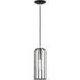 thumbnail image 1 of 1 Light Pendant in Urban Style-19.25 inches Tall and 5 inches Wide-Black/Brushed Nickel Finish Bailey Street Home 218-Bel-4829397, 1 of 1