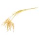 thumbnail image 2 of 4pcs Artificial Rice & Wheat Ears Bunches Faux Grass Centerpieces Home Wedding Office Rustic Decorative Dry Bouquet, 2 of 4