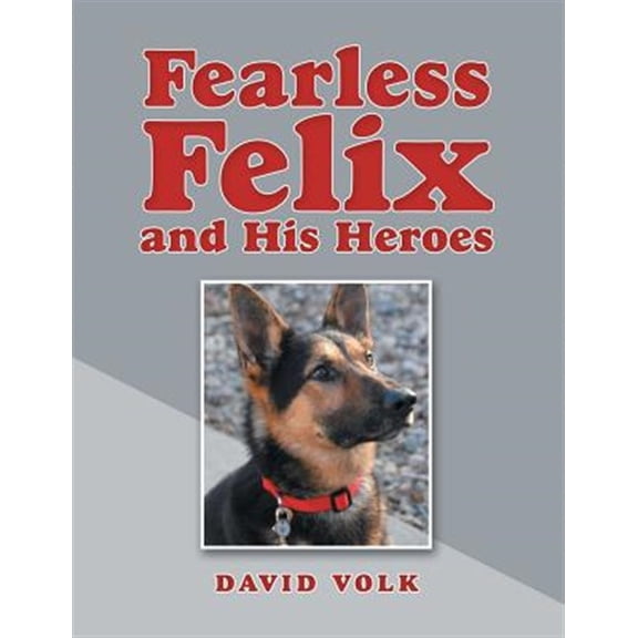 Pre-Owned Fearless Felix and His Heroes (Paperback)