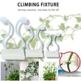 thumbnail image 5 of Clips Para Accesorios De Plantas Trepadoras, Clips Adhesivos Para Enredaderas De Jardín, Soporte Fijo Para Enredaderas De Pared 50 Uds. Sweethay HA040587-06, 5 of 5