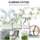 thumbnail image 5 of Clips Para Accesorios De Plantas Trepadoras, Clips Adhesivos Para Enredaderas De Jardín, Soporte Fijo Para Enredaderas De Pared 50 Uds. Serendint HA040587-01, 5 of 6