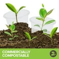thumbnail image 4 of Stock Your Home 100 Pcs Clear Shot Glasses 1 oz Disposable Cups for Jello Sauce Condiments, 4 of 7