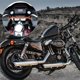thumbnail image 2 of 1 Juego Universal 22mm Aluminio Aleación Naranja Motocicleta Equilibrio Barra, 2 of 7