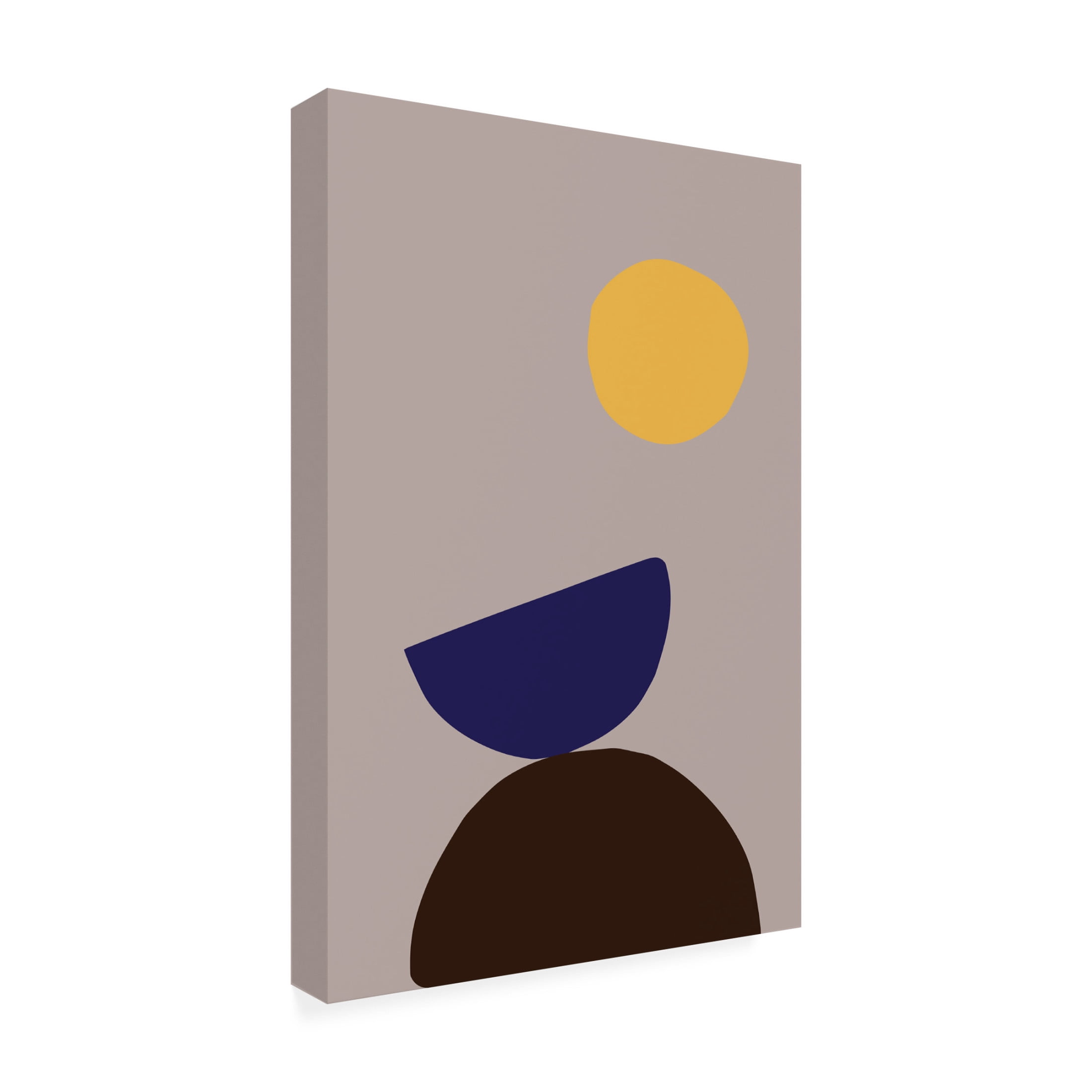 Canvas Wall Art - Pictufy Studio 'Organic Shapes 07' Wall Art for Living Room, Bedroom, or Office Décor by Trademark Fine Art - 16 x 24 Inches