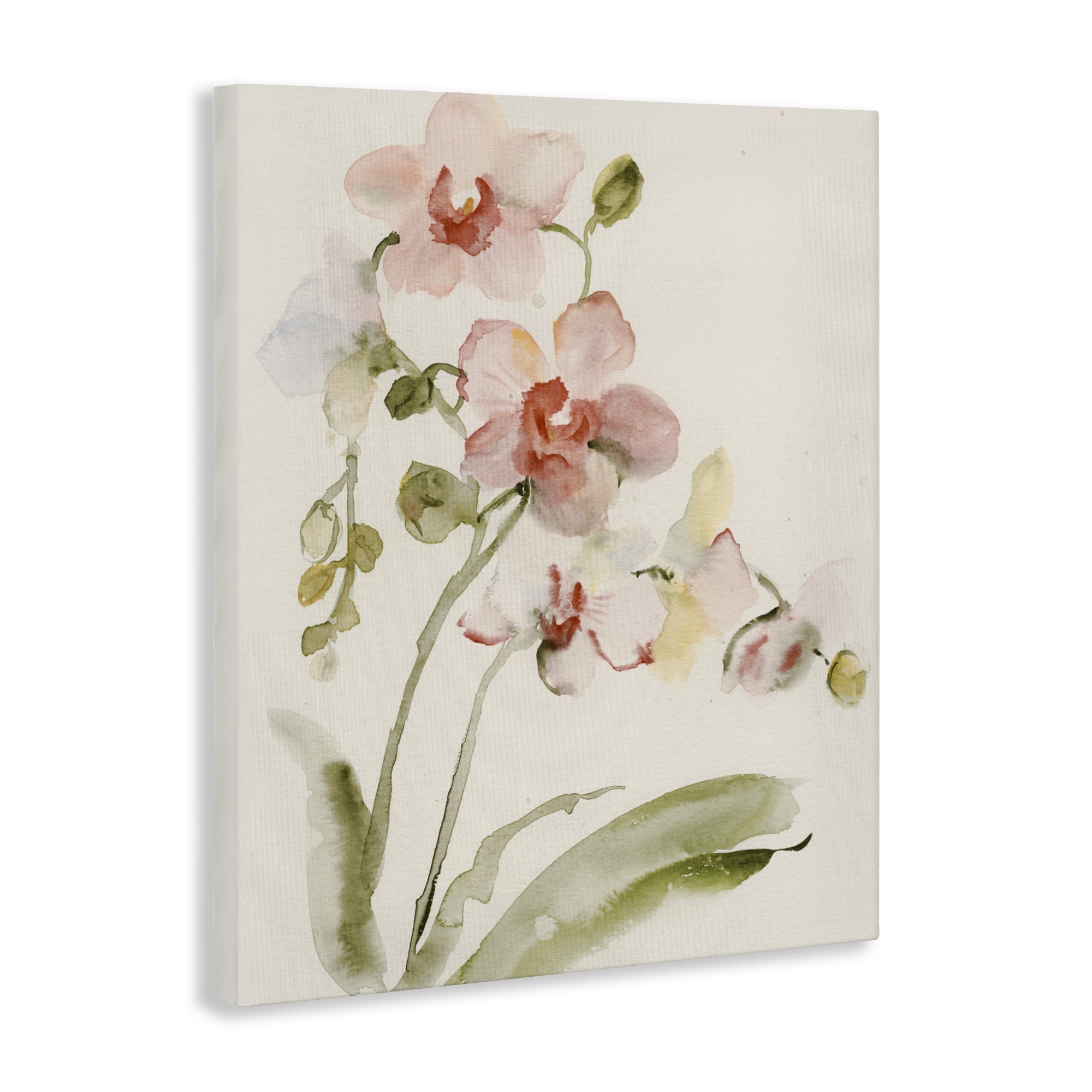 Stupell Industries Gentle Pink Orchid in Bloom Canvas Wall Art, design by Victoria Barnes