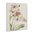thumbnail image 2 of Stupell Industries Traditional Gentle Pink Orchid in Bloom Canvas Art, 16 x 20, by Victoria Barnes, 2 of 8