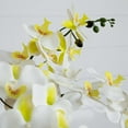 thumbnail image 7 of Nearly Natural Phalaenopsis Orchid Artificial Floral Arrangement with Ceramic Planter - 23" - White, 7 of 7