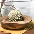 thumbnail image 2 of Chunky Teak Wood Bowl, Hand Crafted, Dish Size, 11.75 Overall Vessel Diameter, 7 Inch Bowl, Warm Brown, Sanded Smooth, Grainy Knotted, Decorative, 2 of 5