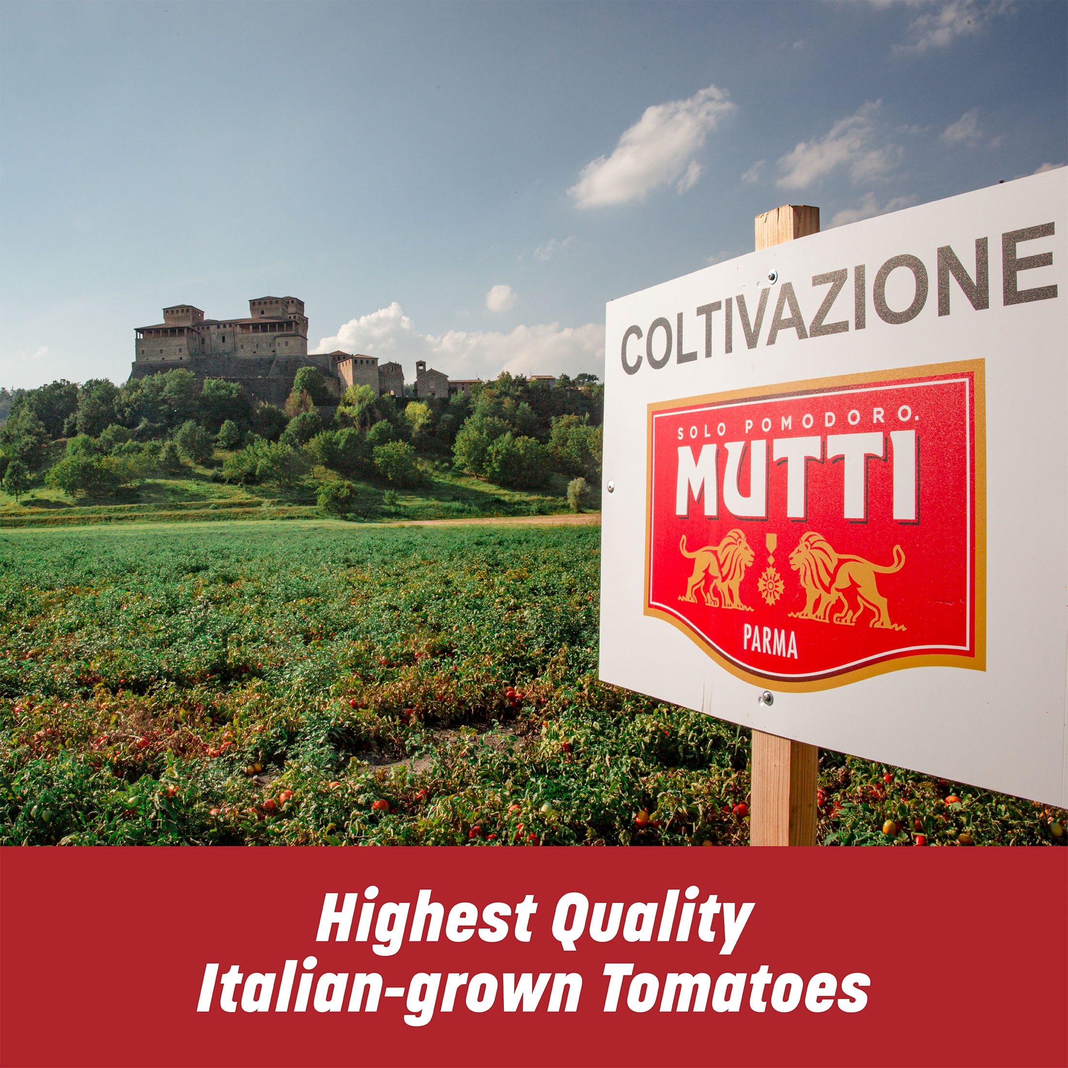 Mutti 100% Italian Crushed Tomatoes (Polpa), 14 oz, 12 Pack, Italy’s #1 Brand of Tomatoes, No Additives or Preservatives