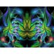 thumbnail image 1 of Taladro Pintura Diamante (DB6363) Arte completo DIY Hojas abstractas 5D Imagen de diamantes de imitación 30x40cm FLhrweasw Nuevo, 1 of 1