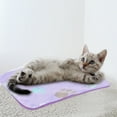 thumbnail image 4 of Fluffy Pet Blanket for Dogs and Cats, Super Soft Warm Throw with Paw Print, Machine Washable Dog Cat Blanket for Bed Couch Sofa, Cozy Indoor Pet Mat, 4 of 4