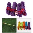 thumbnail image 1 of pitrice 4Pc 6,65ft Trip Réfléchissant Nylon Cordon Tente Guy Ligne Corde pour Extérieur Violet, 1 of 8