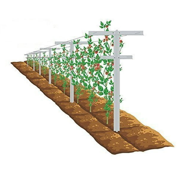 Mr. Garden 7" x 2" White Fiberglass Asymmetrical Trellis (2 Pack
