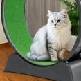 thumbnail image 3 of Zimtown 41in Cat Exercise Wheel, Extra-Large Carpeted Running Wheel for Indoor Cats Fitness, 3 of 9