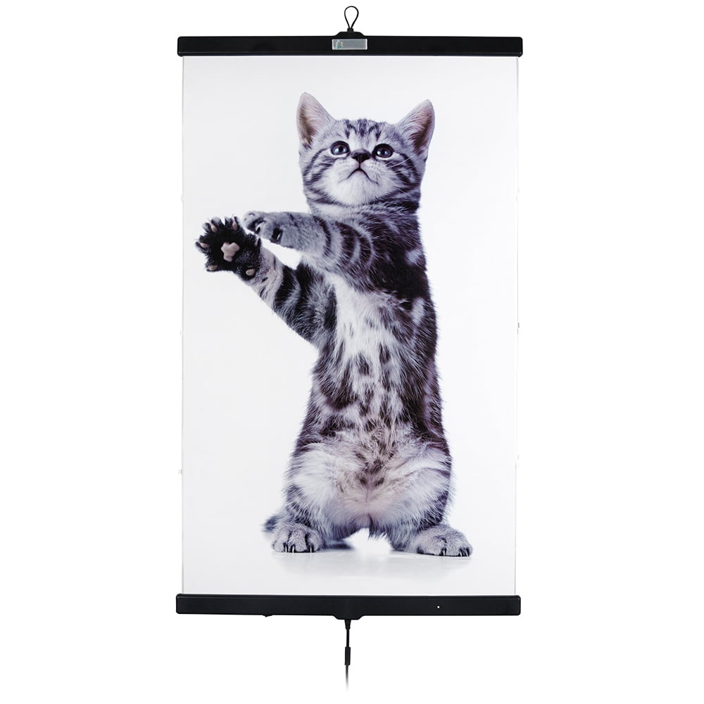Invroheat Infra-Red Wall Heater - Cat | Walmart Canada