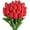 Red, variant on 10pcs Artificial Tulip Flowers, Real Touch Fake Flowers Bulk for Mothers Day Home Office Centerpiece Indoor Outdoors Spring Easter Decorations