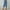 Blue, variant on SEMPAI Pants for Women Culottes Cropped Solid Plus Size Pants Summer Pants Slim Simple Solid Plus Size Plus Size for Womens Plus Size Pants Celebrate
