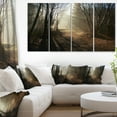 thumbnail image 1 of Dark Path in Fall Foggy Forest, 1 of 1