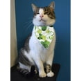 thumbnail image 2 of Clovers Pattern Bandana  -Image by Shutterstock,  Large, 2 of 4