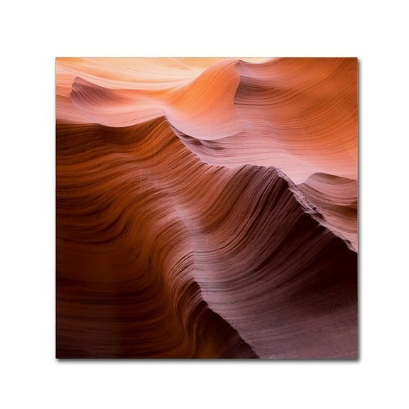 Trademark Fine Art "Smooth I" Canvas Art by Moises Levy