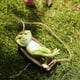thumbnail image 3 of Frog Statues for Garden Outdoors Hanging Sleeping Frog Sculptures Swing Home Décor for your friends, parents, 3 of 5