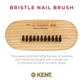 thumbnail image 3 of Cepillo para uñas y manos KENT NB2 Natural Bristle, 3 of 8