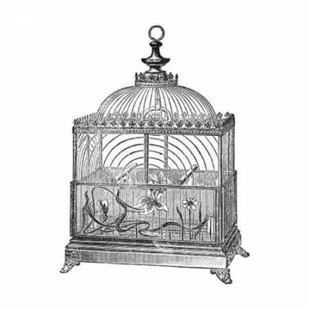 - Etchings Birdcage - Dome top floral base filigree detail Stretched Canvas - Catalog Illustration (12 x 12)
