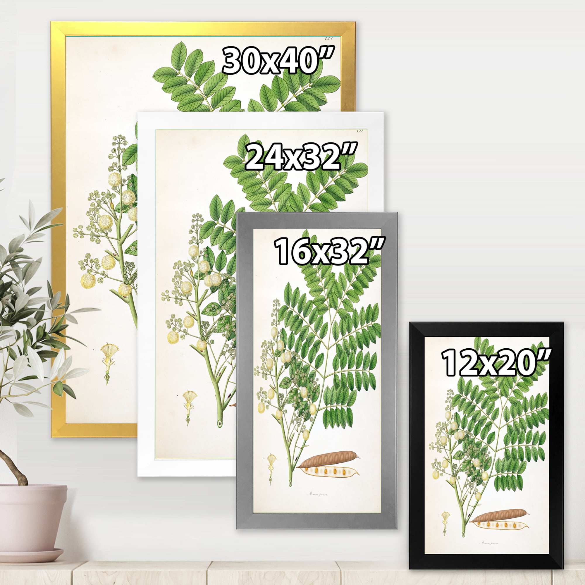 Designart 'Ancient Botanicals VII' Farmhouse Framed Art Print