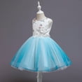 thumbnail image 4 of Fesfesfes Toddler Kid Girl Sleeveless Tulle Dress Lace Princess Gown Party Dress Cosplay Clothes Spring, 4 of 9