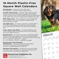 thumbnail image 6 of Cavalier King Charles Spaniels | 2026 12x24" (Hanging) Wall Calendar | Plastic-Free, 6 of 9