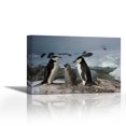 thumbnail image 1 of Chinstrap Penguin pair with chick, Paradise Bay, Antarctic Peninsula, Antarctica - Contemporary Fine Art Giclee on Canvas Gallery Wrap - wall décor - Art painting - 36 x 24 Inch - Ready to Hang, 1 of 2