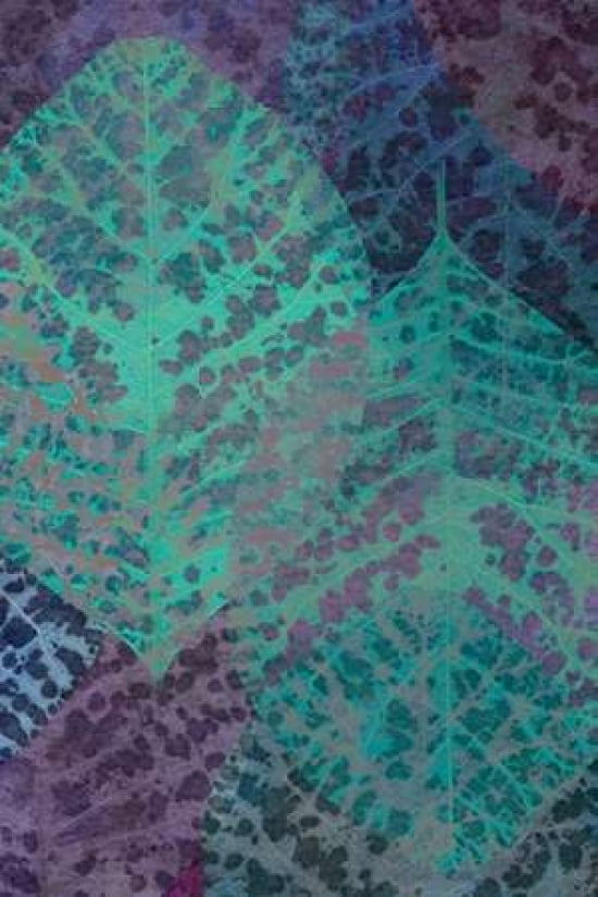 Leaf Pattern 1-5 Ca