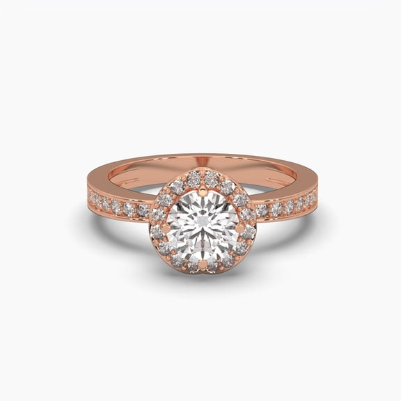 Round Cut Moissanite 18k Ever and Ever Halo Ring