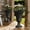 Black, variant on TopComfy 23.6" Tall Plastic Urn Planters for Outdoor Plants Set of 2 Heavy-Duty Classic Indoor Large Flower Pots with Drainage Holes for Garden, Black