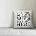 thumbnail image 2 of Creative Products Wicked Witch Does Live Here 18x18 Indoor / Outdoor Pillow, 2 of 2