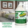 thumbnail image 4 of OdoBan Professional Disinfectant Cleaner and Odor Eliminator Concentrate, 2 Gallons, Original Eucalyptus Scent, 4 of 5