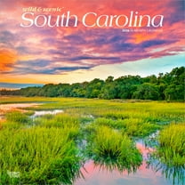South Carolina Wild & Scenic | 2026 12x24" (Hanging) Wall Calendar | Plastic-Free