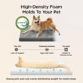 thumbnail image 3 of Cama ortopédica para perros Bedsure XL con funda lavable, 3 of 6