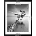 thumbnail image 5 of Art.com Water Tree V Photographic Print by Moises Levy, Black Frame Wall Art, 32" x 40", 5 of 5