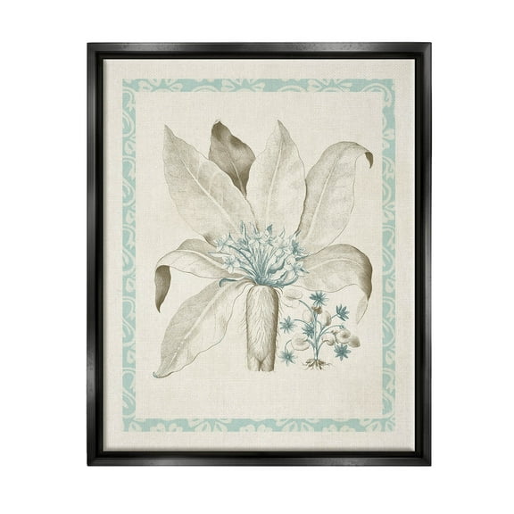 Stupell Industries Detailed Plant Study Botanicals Graphic Art Jet Black Floating Framed Canvas Print Wall Art, Design by Vision Studio