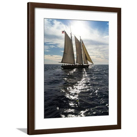 Tourists on Sailboat in the Pacific Ocean, Dana Point Harbor, Dana Point, Orange County, CA Framed Print Wall
