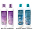 thumbnail image 2 of Bio-Groom Natural Oatmeal Anti-Itch Dog Shampoo & Conditioner  Set – Soothing Pet Wash & Creme Rinse – 12 oz Each | MerlinsMart Zine + Rope Toy, 2 of 9