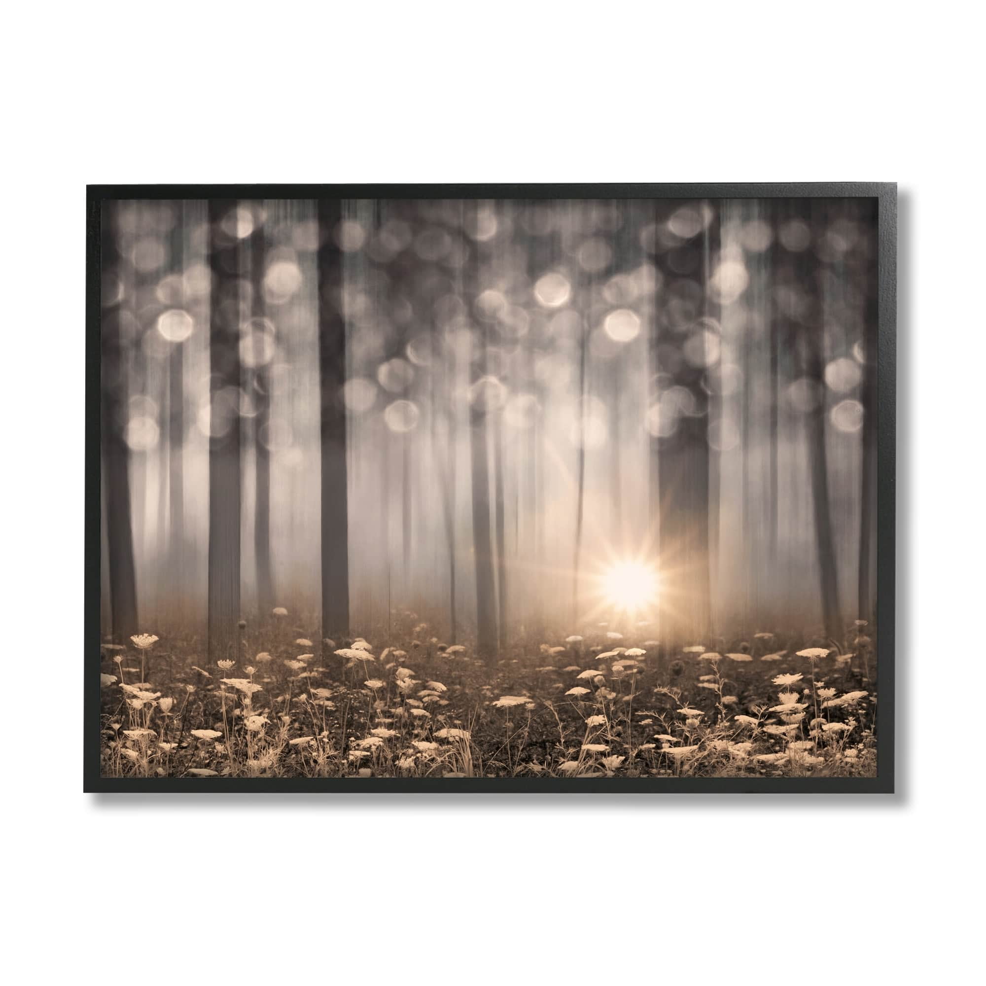 Stupell Industries Wild Flowers Foggy Forest Sunrise Horizon Bokeh Photography,20 x 16, Design by Lorie Deiter
