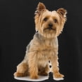 thumbnail image 3 of CafePress - Yorkshire Terrier Women's Dark Pajamas - Women's Short Sleeve Print T-Shirt and Pants Dark Cotton Pajama Set, 3 of 7